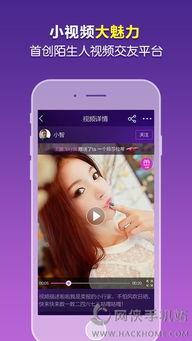 蜜桃TV永久地址久久久,揭秘久久久平台的魅力所在